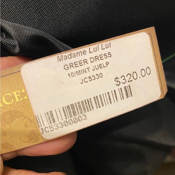 Eva Franco Greer Mint Julup Sheer Women Special Occasion Dress - Picture 9 of 9